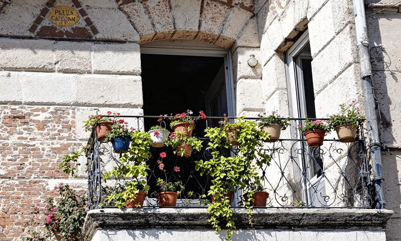 Rivela il mistero che rovina le tue piante da balcone: la soluzione che tutti ignorano!