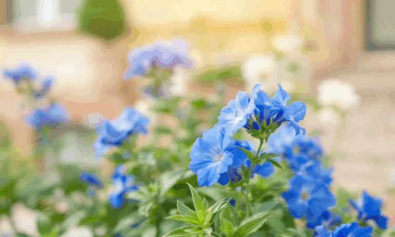 Scopri il segreto per ortensie blu mozzafiato anche in estate!